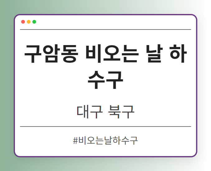 구암동 비오는 날 하수구 - 대구 북구 구암동 비오는 날 하수구 전문업체