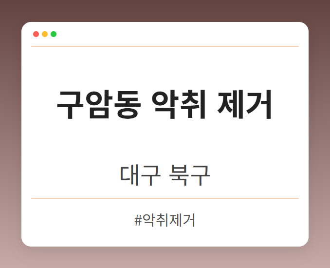 구암동 악취 제거 - 대구 북구 구암동 악취 제거 전문업체