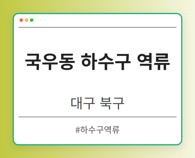 국우동 하수구 역류 - 대구 북구 국우동 하수구 역류 전문업체