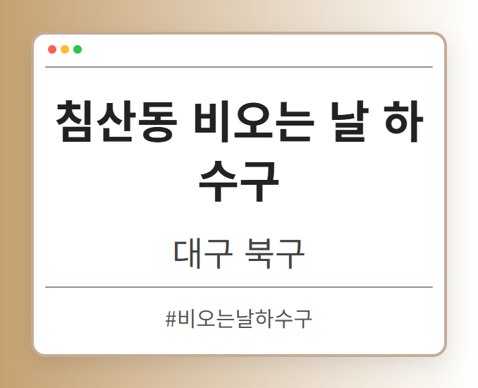 침산동 비오는 날 하수구 - 대구 북구 침산동 비오는 날 하수구 전문업체